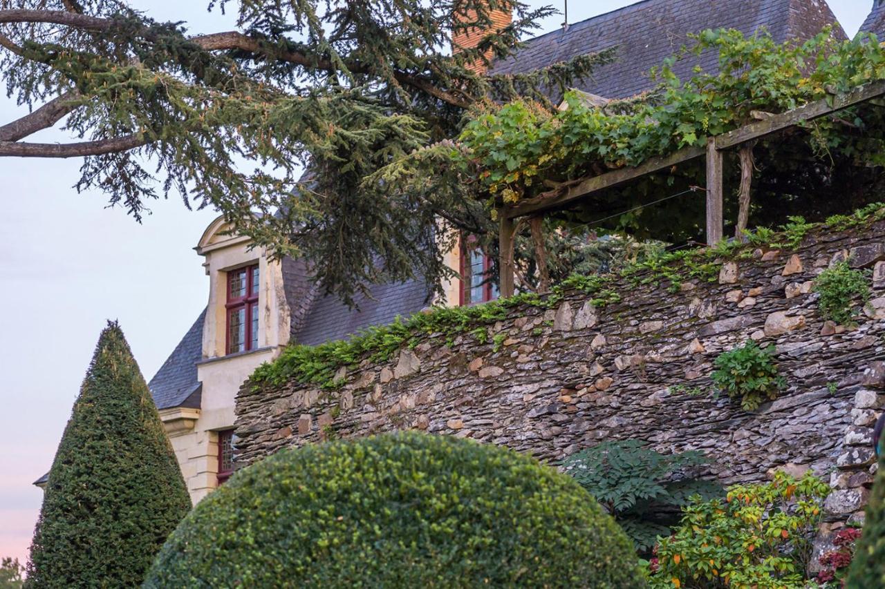 Manoir De La Groye Hotel Saint-Saturnin-sur-Loire Zewnętrze zdjęcie