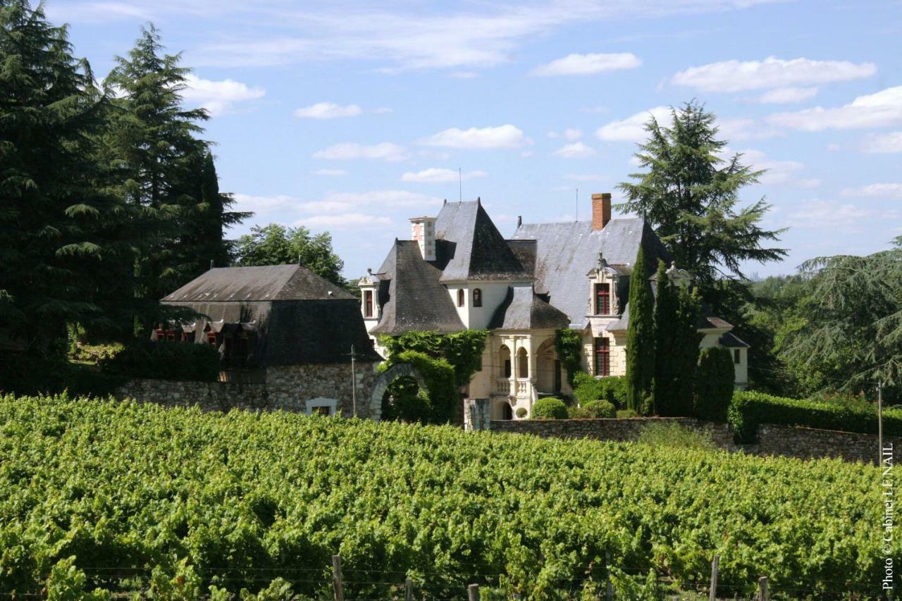 Manoir De La Groye Hotel Saint-Saturnin-sur-Loire Zewnętrze zdjęcie